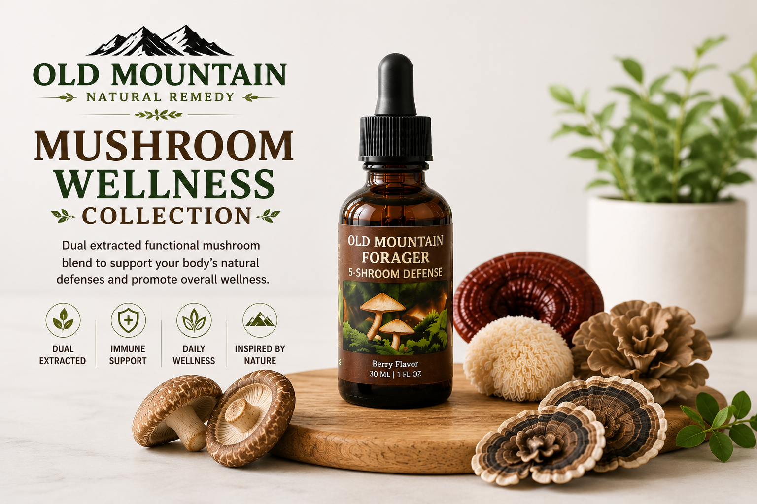 Old Mountain Forager 5-Shroom Defense Mushroom Tincture – Berry Flavor